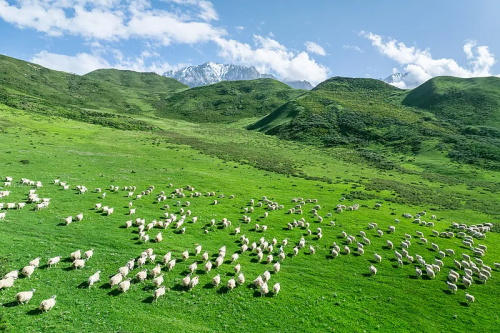 55世纪-追求康健,你我一起生长